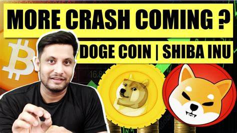 Why Is Bitcoin Crashing? What About My Shiba Inu Coins? - Slate