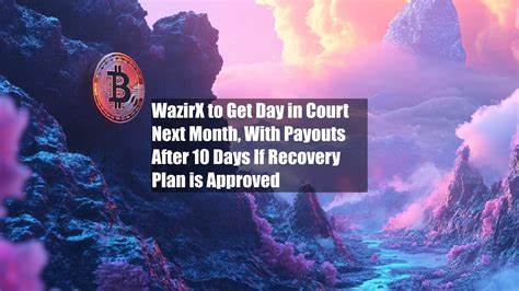 WazirX to Get Day in Court Next Month, With Payouts After 10 Days If Recovery Plan is Approved