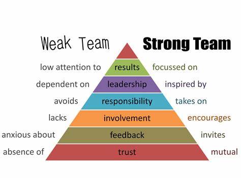 TEAM: Strong Results, Weak Guidance