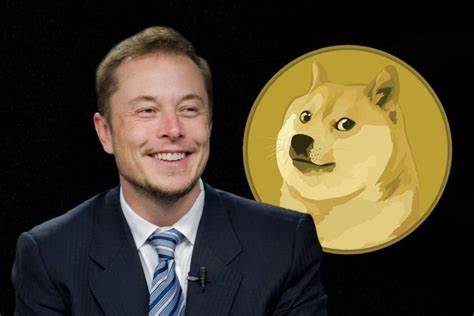 Top 6 Elon Musk Crypto Coins in May 2025