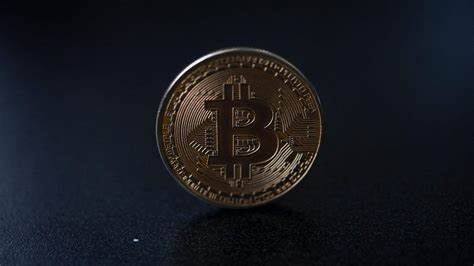 Bitcoin’s Inequality Problem Is Putting the Dollar to Shame - Gizmodo
