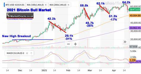 Psychologically Prepared for Bitcoin Bull Market Bubble MANIA Rug Pull Corrections 2024 - The Market Oracle