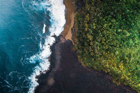 Earth's oceans used to be green, and they could turn purple next