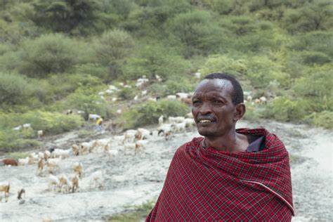 Netflix and Meta's Carbon Credits Snared in Dispute with Maasai Herders
