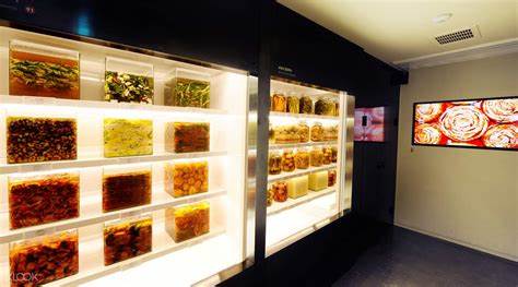 Museum of Kimchi