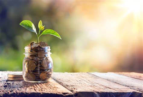The Smartest Growth Stock to Buy With $20 Right Now