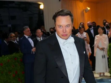 Elon Musk meets El Salvador's President Bukele to discuss future of humanity during Bitcoin surge - Dimsum Daily