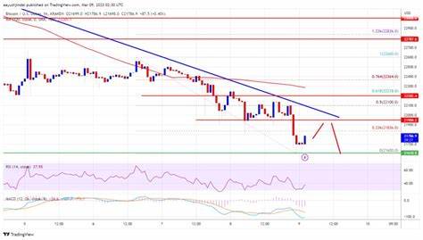 MicroStrategy can ignore Bitcoin bear market price crash to $20K — Research - TradingView