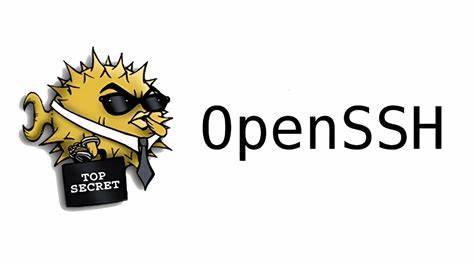 OpenBSD – Call for testing: Last bits of DSA to be removed from OpenSSH