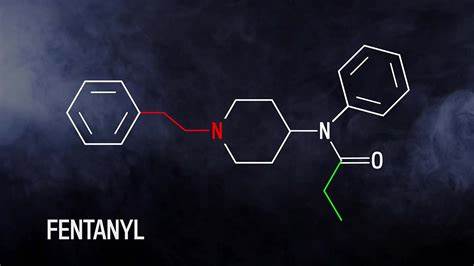 Pakistani Firm Shipped Fentanyl Analogs, Scams to US
