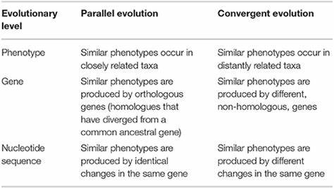 At the Frontiers of Evolution: Contingency vs. Convergence