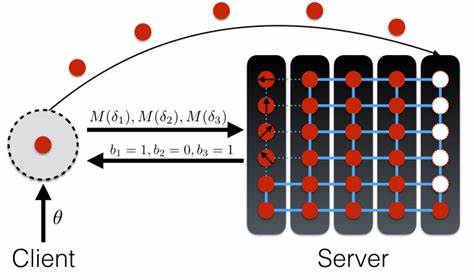 Universal Blind and Verifiable Delegated Quantum Computation Classic Client