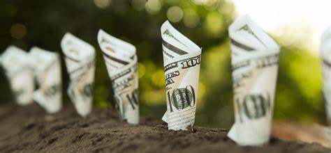2 No-Brainer Dividend Stocks to Buy for Income This May