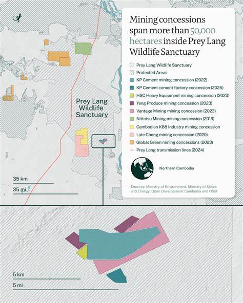 Cement factory approved inside Cambodia's Prey Lang sanctuary despite mining ban