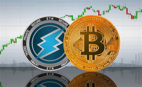 The Evolving Role of Bitcoin and Crypto in the Tech and Legal World: An Interview with Zach Shapiro - MSN