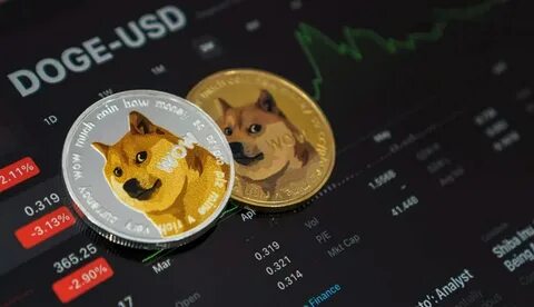 It's Time To Put The Leash Back On, As DOGS And Dogecoin Continue To Trend Downhill - Analytics Insight