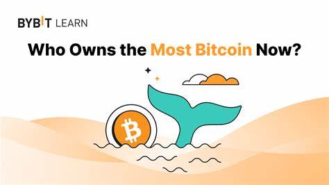 Who Owns the Most Bitcoin Now? (2024) - Bybit Learn