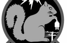 Cyber Squirrel 1 (2019)
