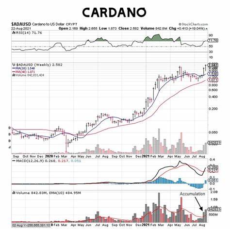 Cardano’s Path to New Highs: Analyst Lays Out Two Scenarios - deythere