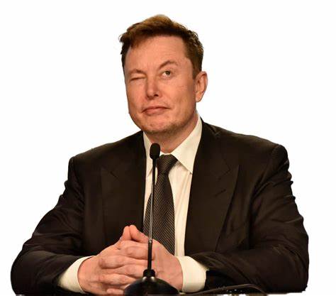 Elon Musk is surprised DOGE gets 'attacked like crazy' despite being 'very transparent'
