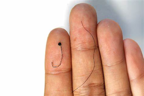 Single hair-like electrode outperforms traditional 21-lead EEG