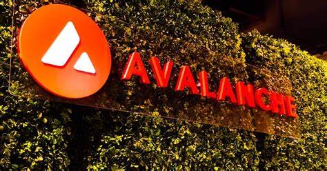 Avalanche (AVAX) Meme Coins Frenzy Kicks Off: Main Reason - U.Today