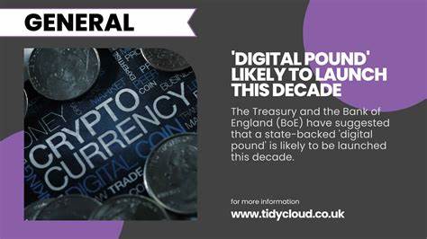Digital pound likely this decade, Treasury says