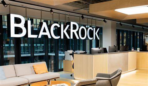 BlackRock besitzt mittlerweile zwei Rocks NFTs von einem unbekannten Absender