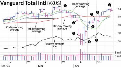 International Stocks Shake Off Tariff Tempest As VXUS Bounces Back