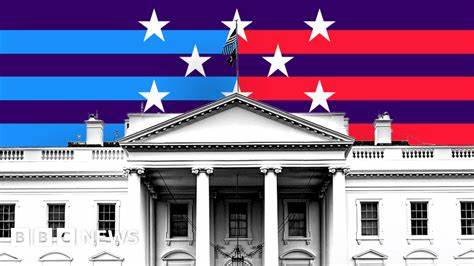 US election 2024: A really simple guide to the presidential vote