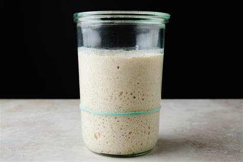 My Sourdough Starter Has Twins