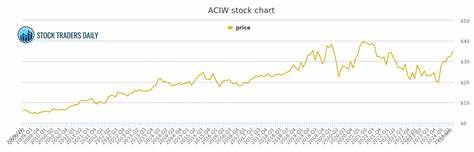What Gives Resilience to ACI Worldwide (ACIW) in the Down Market?
