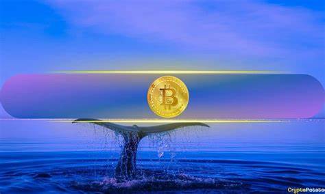 Bitcoin’s $100K Stumble Coincides With US Whales Pulling Back, Analyst Says