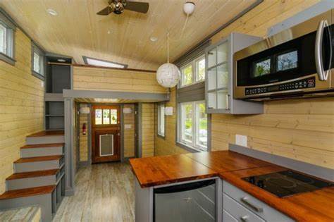 I spent 2 nights in an overgrown tiny house in Panama's rainforest for $300. Take a look inside