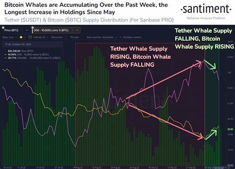 Bitcoin Whales Scoop 358,000 BTC As USDT Liquidity Spikes: Are Bulls Ready To Rumble? - Bitcoinist