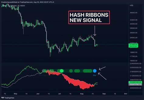 Bitcoin Hash-Ribbon Buy Signal: Potential Rally Ahead? - Crypto Times