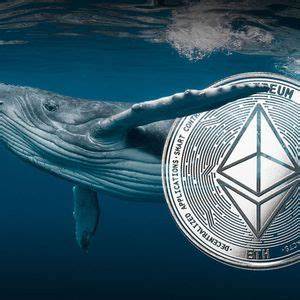 Whales and Institutions Bet Big on Neiro Ethereum (NEIRO): Report - Coinpedia Fintech News