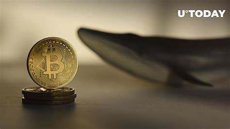 Another Satoshi-Era Bitcoin Whale Is Moving Coins After 15 Years