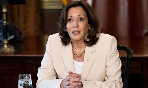 Kamala Harris’s Unrealized Capital Gains Tax Would Hurt All Crypto Investors - MSN