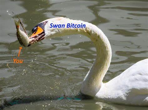 Phishing Scam Targets Swan Bitcoin Amidst Holiday Weekend - The Cyber Express
