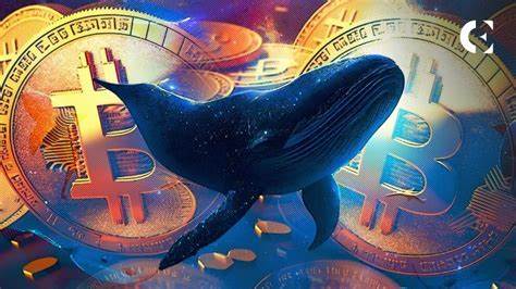 While Markets Move Sideways, Crypto Whale Sightings Increase - Bitcoin.com News