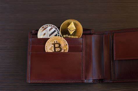 Diese Krypto-Wallets zählen zu den sichersten