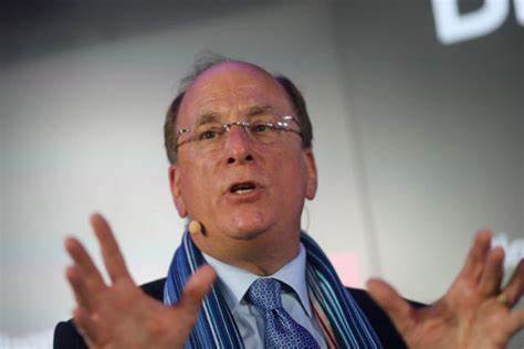 BlackRock CEO Seeing No Demand for Crypto