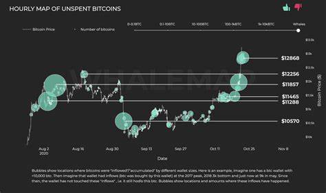 BTC price levels to watch as Bitcoin whales ‘lure’ market to $42K - Cointelegraph