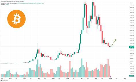 Investors Stock Up Amid Bitcoin Price Dip – Top 3 Coins Ready to Explode in the Coming Bull Rally - CryptoDaily