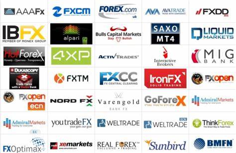 Best Forex Brokers of 2025: Top Forex Trading Platforms