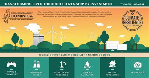 The Dangerous Illusion of Climate Resilience