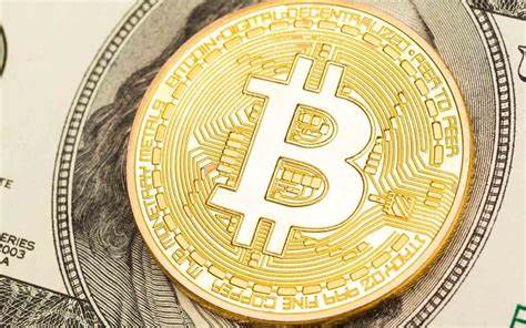 Bitcoin’s Brave New World: Investment Insights - Tribune Online
