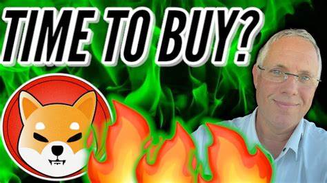 Shiba Inu and Rexas Finance grab eyeballs with strong performances, is now still a good time to buy?