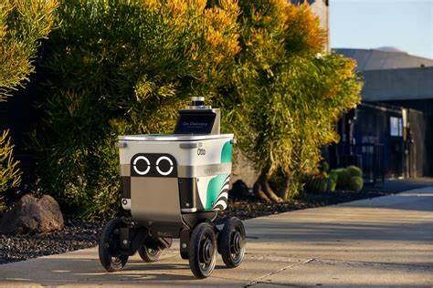 Is Serve Robotics (SERV) the Best AI Stock to Buy Under $10?